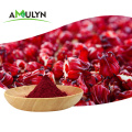 Natural Hibiscus Flower Roselle calyx rose powder extract